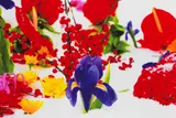 Marc Quinn, Winter Garden