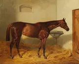 Emil Adam, Die Stute "Kincsem", 1887, Oil on canvas