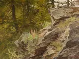 Edward Harrison Compton, Waldlandschaft