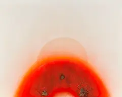 Otto Piene, Die Geburt des Regenbogens, 1966, Oil