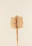 Otto Piene, Ohne Titel, 1962, Watercolor
