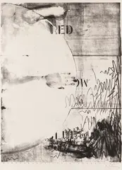 Hatteras by Jasper Johns, 1963, Lithograph, sold Jun 2013
