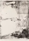Jasper Johns, Hatteras