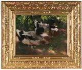 Alexander Koester, Zwei Erpel auf dem Wasser