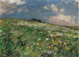 Alexander Koester, Sommerwiese