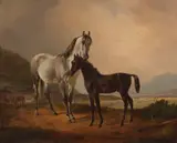 Friedrich Voltz, Stute mit Fohlen vor weiter Hügellandschaft, 1845, Oil on canvas