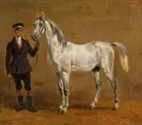 Friedrich Voltz, Schimmel mit Rittmeister, 1840, Oil on canvas
