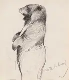 Wilhelm Kuhnert, Stehender Bär, 1910, Pencil drawing