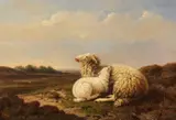 Eugène Verboeckhoven, Umkreis - Mutterschaf mit Lamm in weiter Heidelandschaft