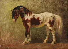 Benno R. Adam, Zugeschrieben - Pferdeporträt, 1872, Oil on panel