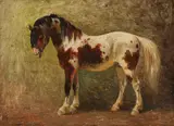 Benno R. Adam, Zugeschrieben - Pferdeporträt, 1872, Oil on panel
