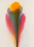 Phenomena Osceola Feather by Paul Jenkins, 1973, Watercolor, sold Apr 2013