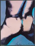 Andy Warhol, Plakat: Torsos, 1977, Offset in colors