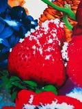 Marc Quinn, Portraits of Landscapes, 2007, Pigment print