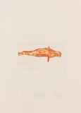 Joseph Beuys, Meerengel Robbe 1, 1982, Etching and aquatint