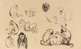 Edvard Munch, Affen I und II, 1908, Lithograph