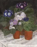 Maria Caspar-Filser, Flieder-Primeln und Cinerarien