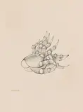 Hans Bellmer, Les Mains de Francoise Luchaire, 1950, Pen and ink drawing
