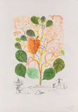 Begonia (Anacardium recordans) by Salvador Dalí, 1968, Etching, sold Apr 2013