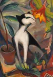 Dorothea Maetzel-Johannsen, Katze mit Kakteenblüte I