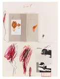 Cy Twombly, Natural History Part I, Mushrooms, 1974, Lithograph in colors