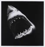 Robert Longo, Ohne Titel (Shark)