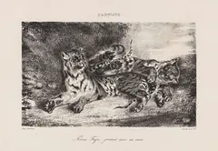 Eugène Delacroix, Jeune Tigre jouant avec sa mère, 1831, Lithograph