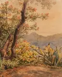 Bernhard Wiegandt, Brasilianische Landschaft mit Agave, 1879, Watercolor