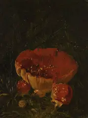 Max Rimboeck, Zugeschrieben - Fliegenpilze im Wald, 1920, Oil on panel