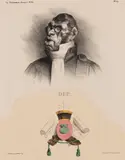 Honoré Daumier, Dupin Aîné