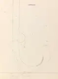 Joseph Beuys, Buch: Zeichnungen 1947-59 I, 1974, Pencil drawing