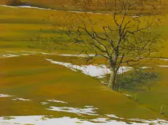 Jan Peter Tripp, Ohne Titel (Landschaft), 1970, Watercolor