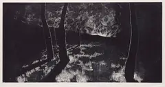 Sebastian Speckmann, 2 Blätter: Lichtung. Seestück, 2005, Woodcut