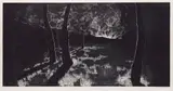 Sebastian Speckmann, 2 Blätter: Lichtung. Seestück, 2005, Woodcut