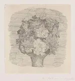 Giorgio Morandi, Zinnie in un vaso, 1932, etching on zinco