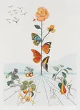 Flordali II by Salvador Dalí, 1981, Lithograph in colors, sold Oct 2012