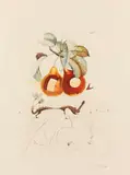Fruits troués by Salvador Dalí, 1969, Photo-lithograph, sold Oct 2012