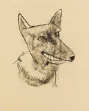 Karl Hofer, Hundekopf, 1947, India Ink