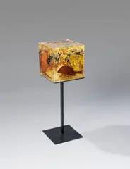 Violin brisé by Arman, 1974, Object, sold Jun 2012