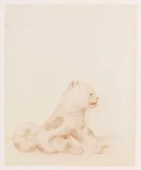 Perro by Fernando Botero, 1975, Watercolor, sold Jun 2012