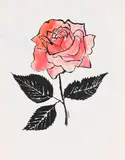 Andy Warhol, Untitled (Pink Rose), 1955, India Ink