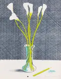 David Hockney, Lillies (Still Life), 1971, Lithograph in colours