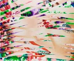Crosshatch and Mutation by James Rosenquist, 1986, Lithograph in colors, sold Apr 2012