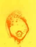 Otto Piene, Oktober, 1971, Silkscreen in colors