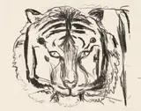 Edvard Munch, Tigerkopf II, 1908, Chalk lithograph