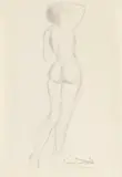Frauenakt by Salvador Dalí, 1969, Pencil drawing, sold Apr 2012