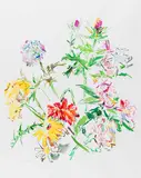 Sommerblumenstrauss mit Mannstreu by Oskar Kokoschka, 1969, Offset lithograph in colors, sold Apr 2012