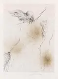 Sorcière au balai (Hexe mit Besen) by Salvador Dalí, 1968, Drypoint, sold Apr 2012