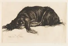 Mein Quick by Richard Müller, 1912, Etching, sold Apr 2012