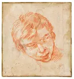 Annibale Carracci, Zugeschrieben - Testa di un ragazzo (Jungenkopf)